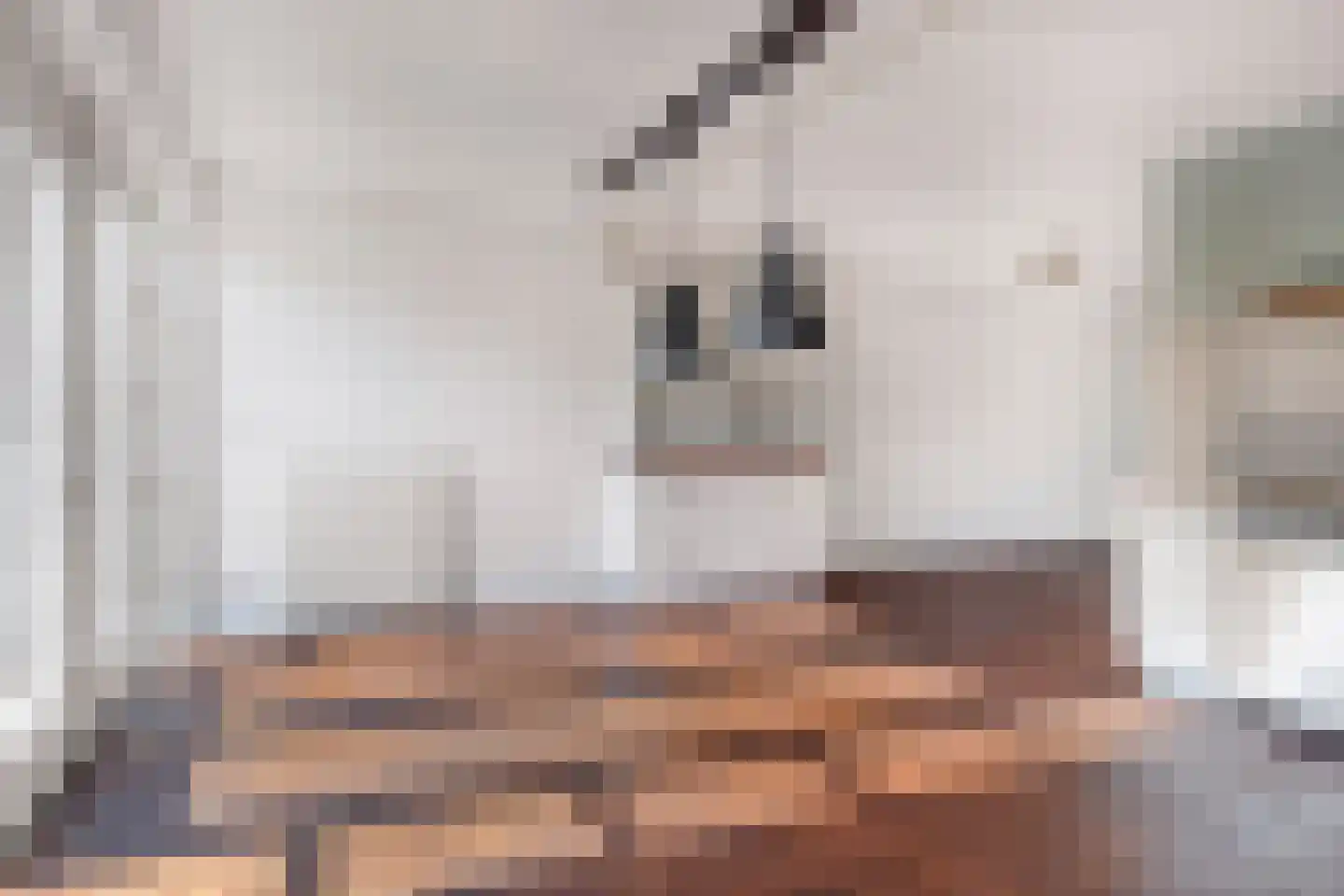Vlasakkerweg 9 Dreischor thumbnail 20