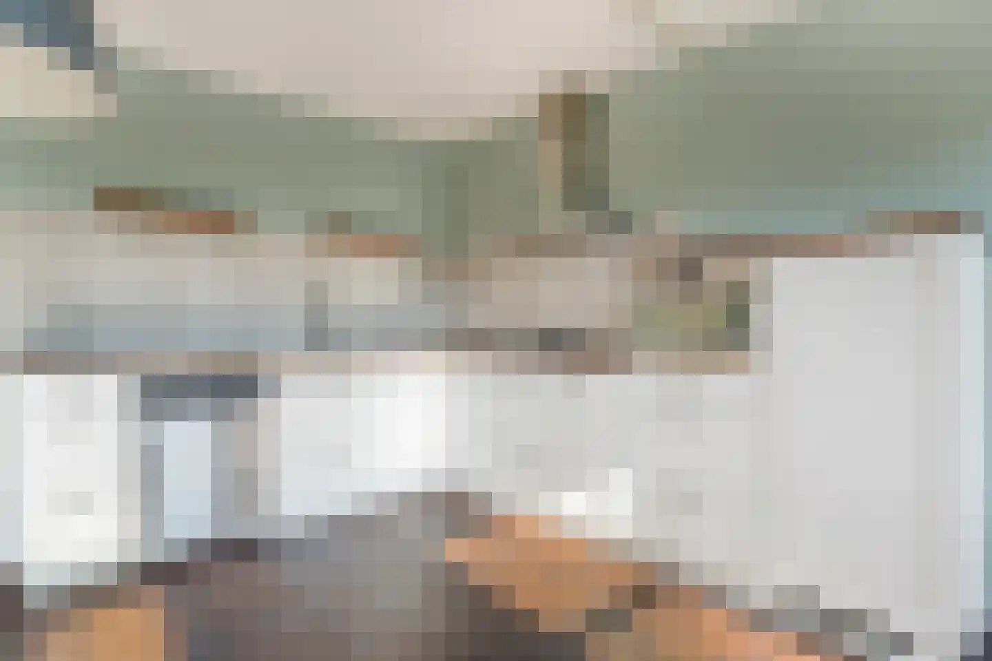 Vlasakkerweg 9 Dreischor thumbnail 21