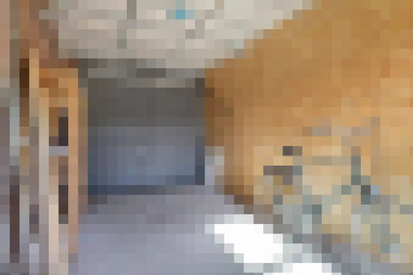 Vlasakkerweg 9 Dreischor thumbnail 23