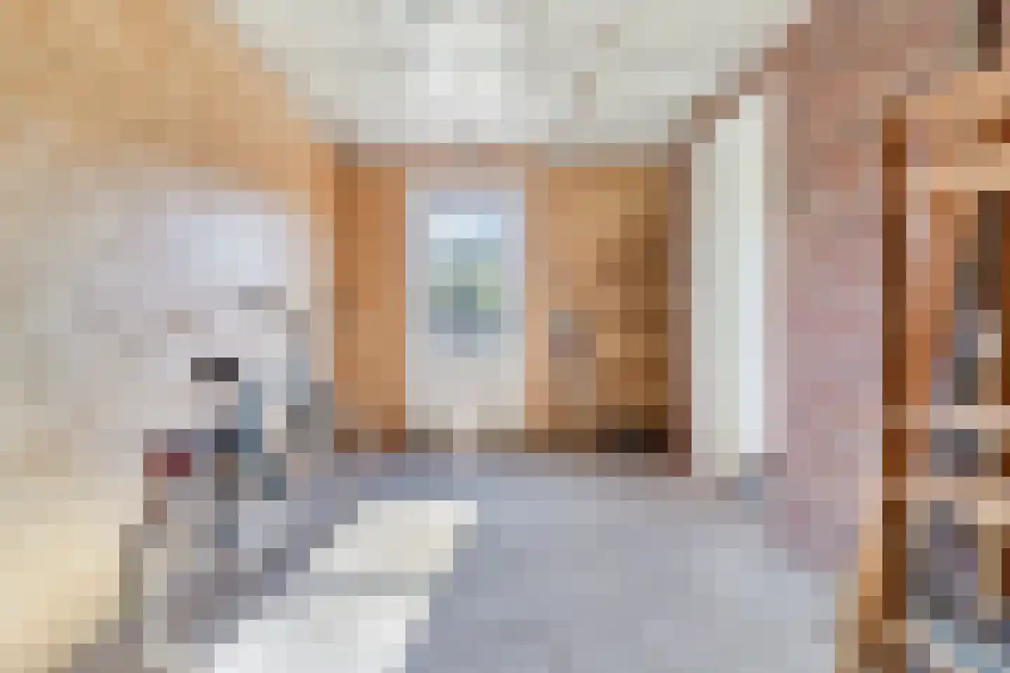 Vlasakkerweg 9 Dreischor thumbnail 24