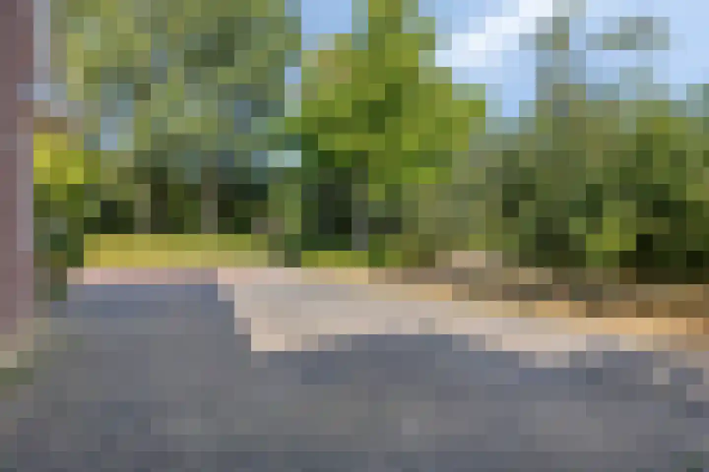 Vlasakkerweg 9 Dreischor thumbnail 4
