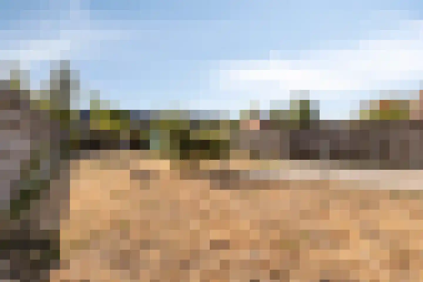 Vlasakkerweg 9 Dreischor thumbnail 40