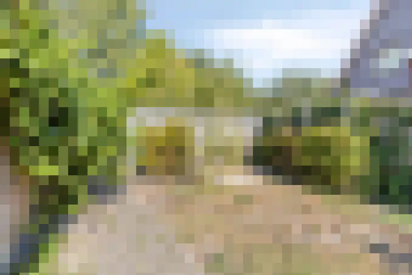 Vlasakkerweg 9 Dreischor thumbnail 48