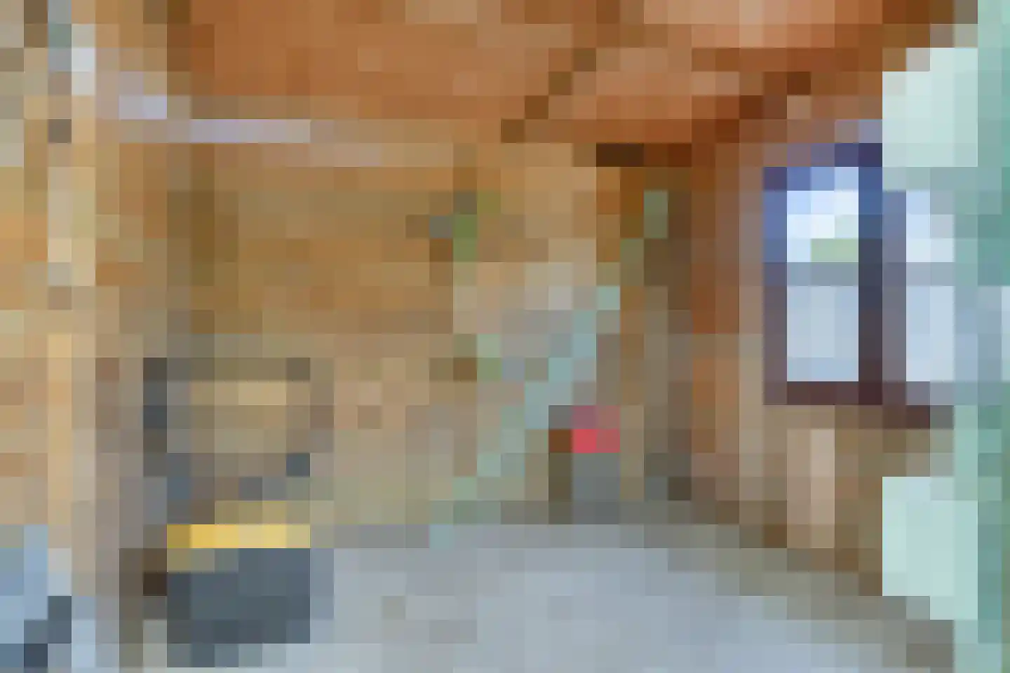 Vlasakkerweg 9 Dreischor thumbnail 49