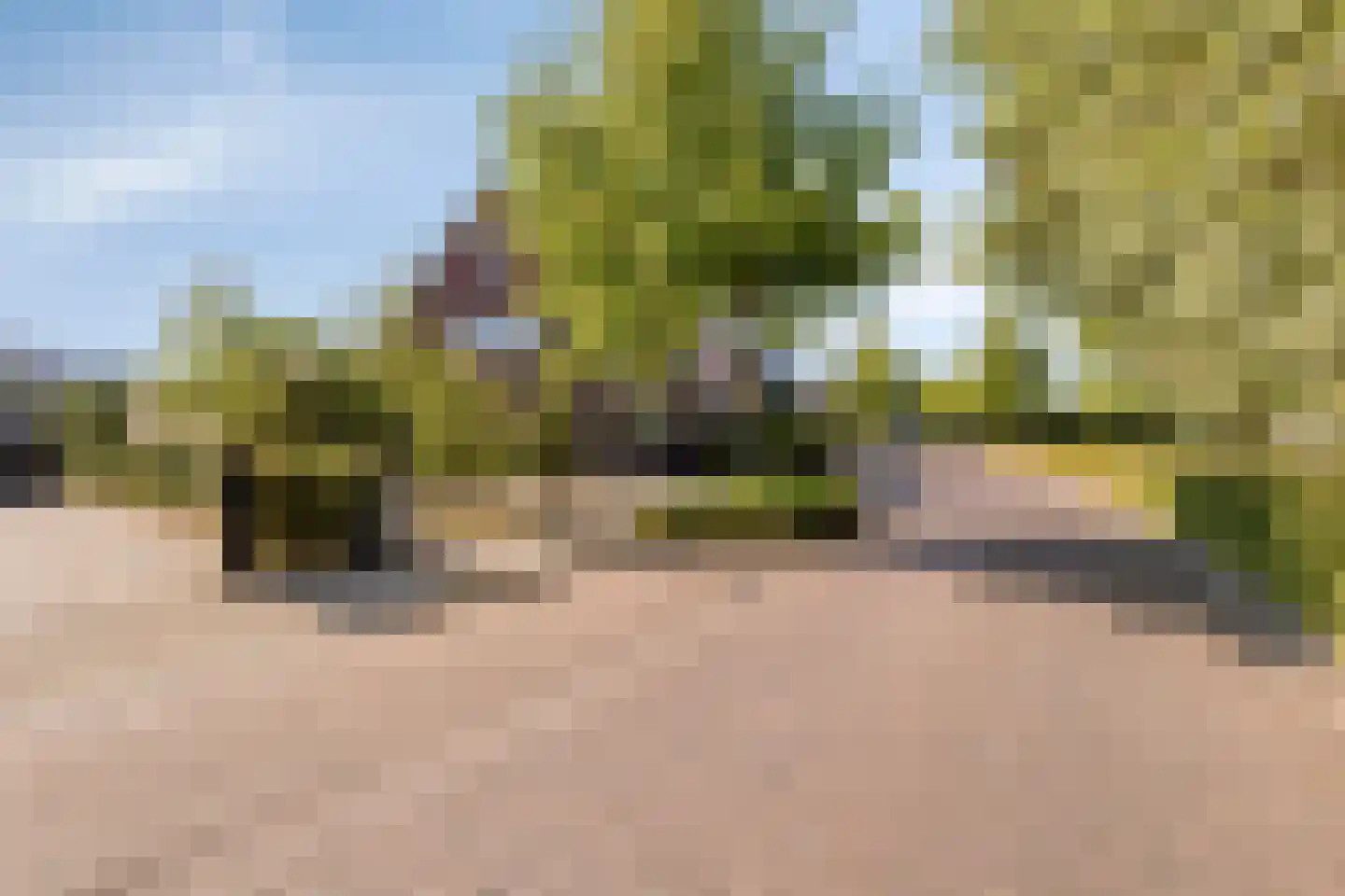Vlasakkerweg 9 Dreischor thumbnail 51