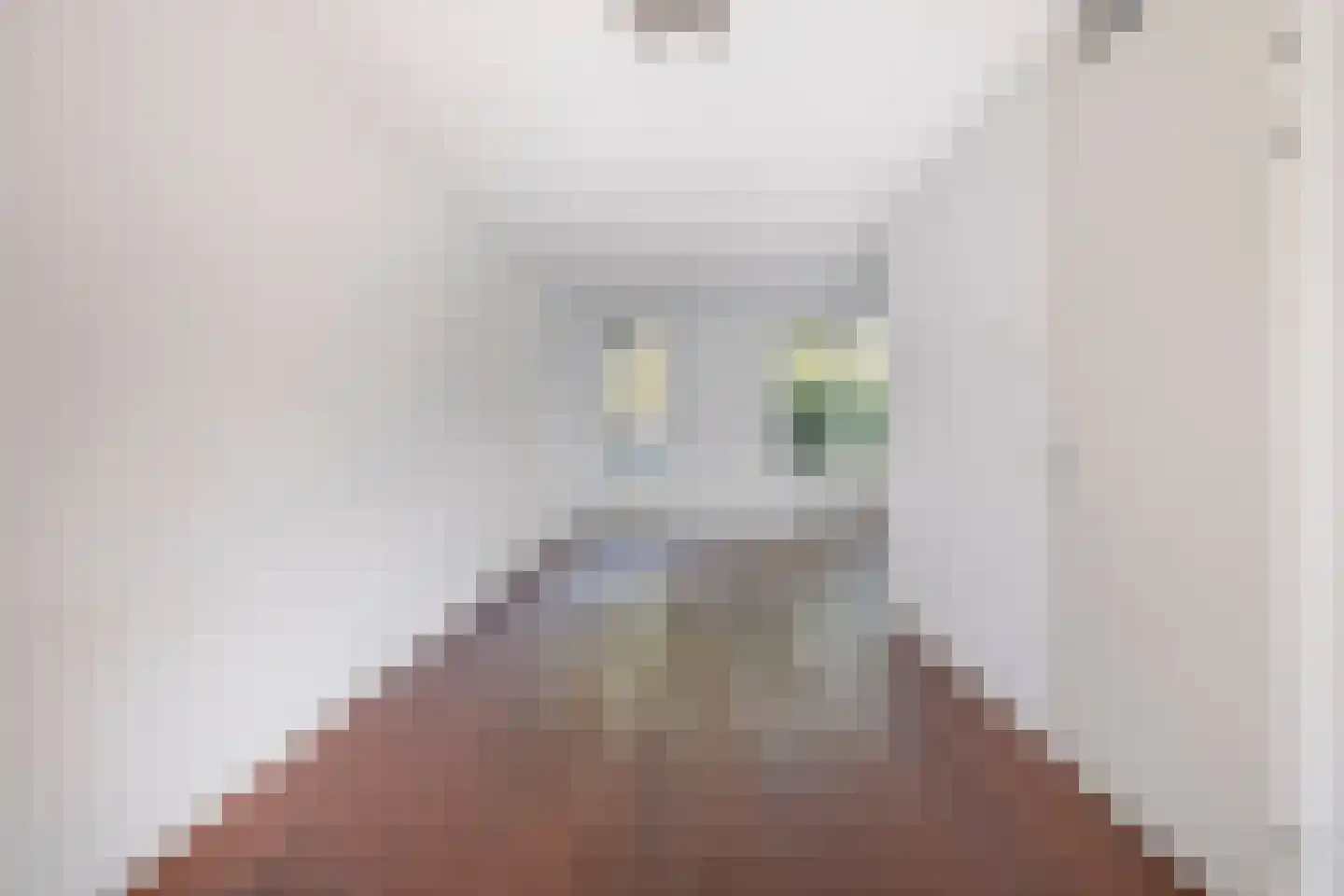 Vlasakkerweg 9 Dreischor thumbnail 7