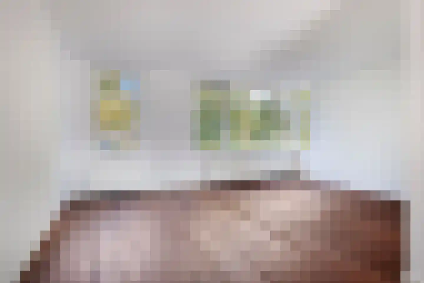 Vlasakkerweg 9 Dreischor thumbnail 8