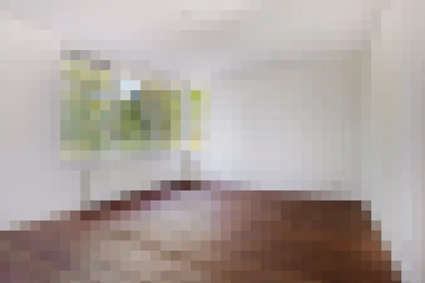 Vlasakkerweg 9 Dreischor thumbnail 9
