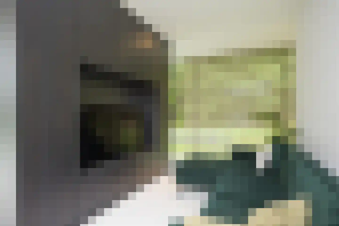 Vlasbeekweg 5 Hezingen thumbnail 14
