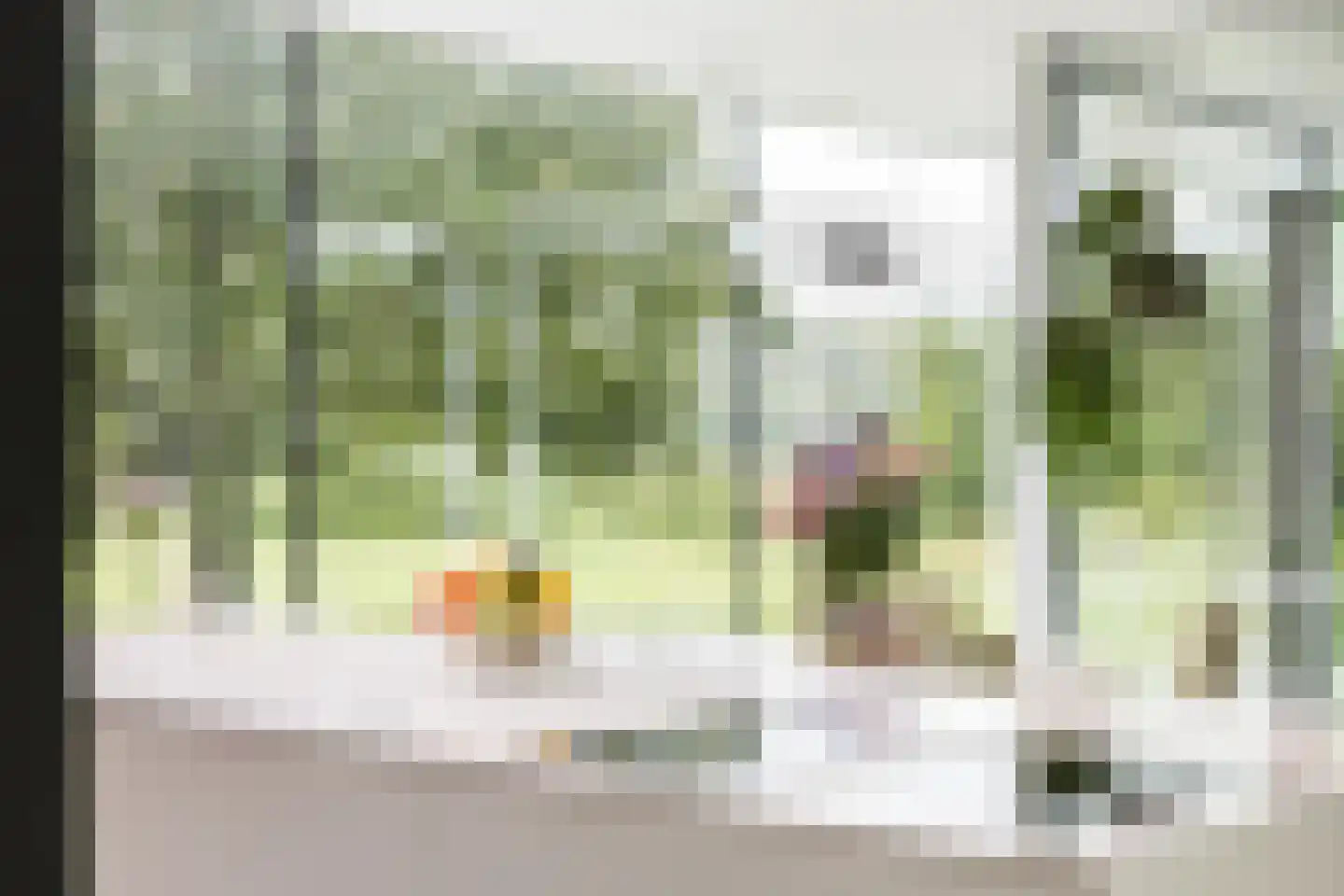 Vlasbeekweg 5 Hezingen thumbnail 20