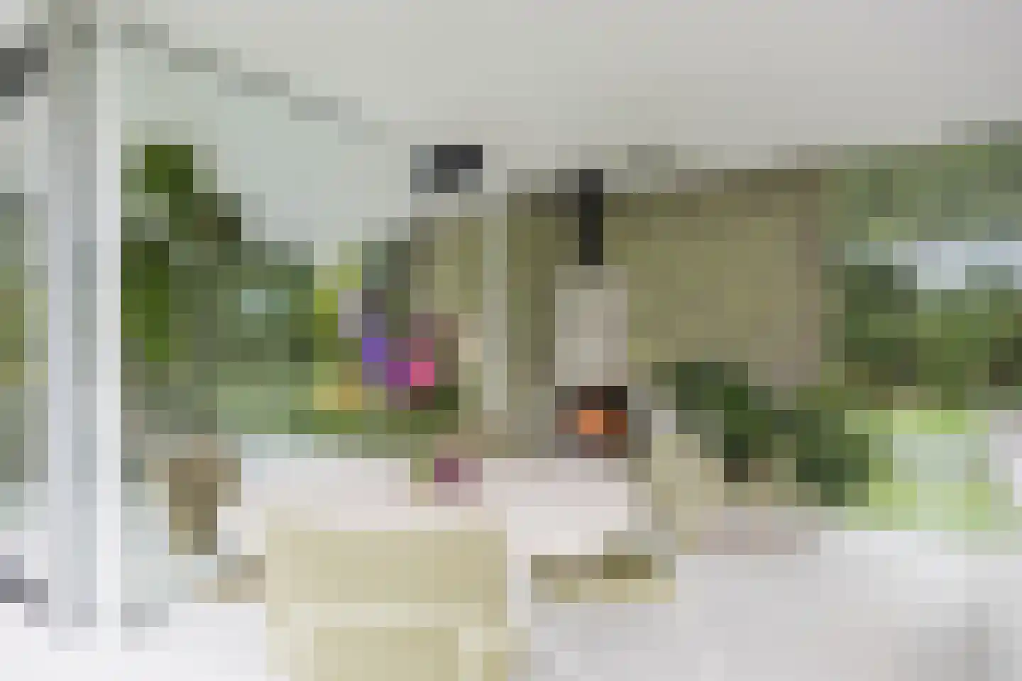 Vlasbeekweg 5 Hezingen thumbnail 22