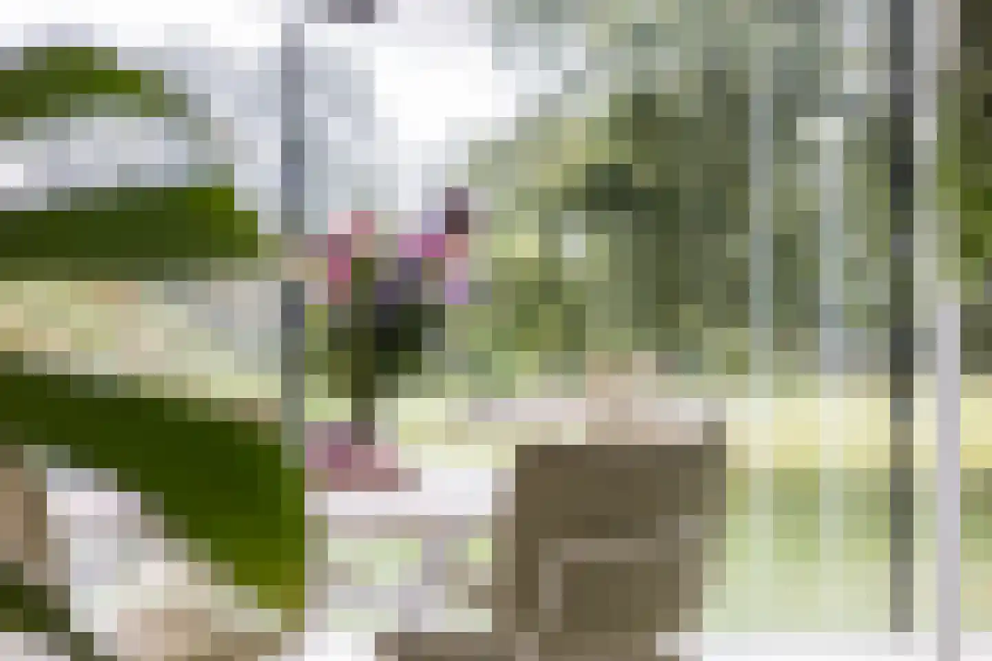 Vlasbeekweg 5 Hezingen thumbnail 23