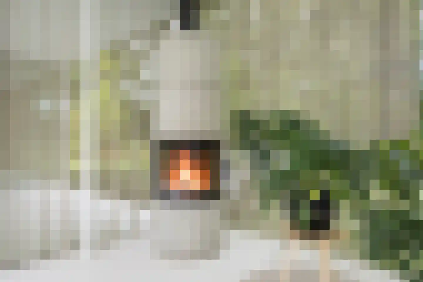Vlasbeekweg 5 Hezingen thumbnail 24