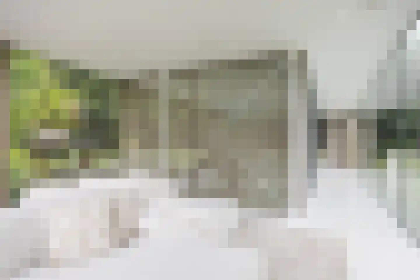 Vlasbeekweg 5 Hezingen thumbnail 28