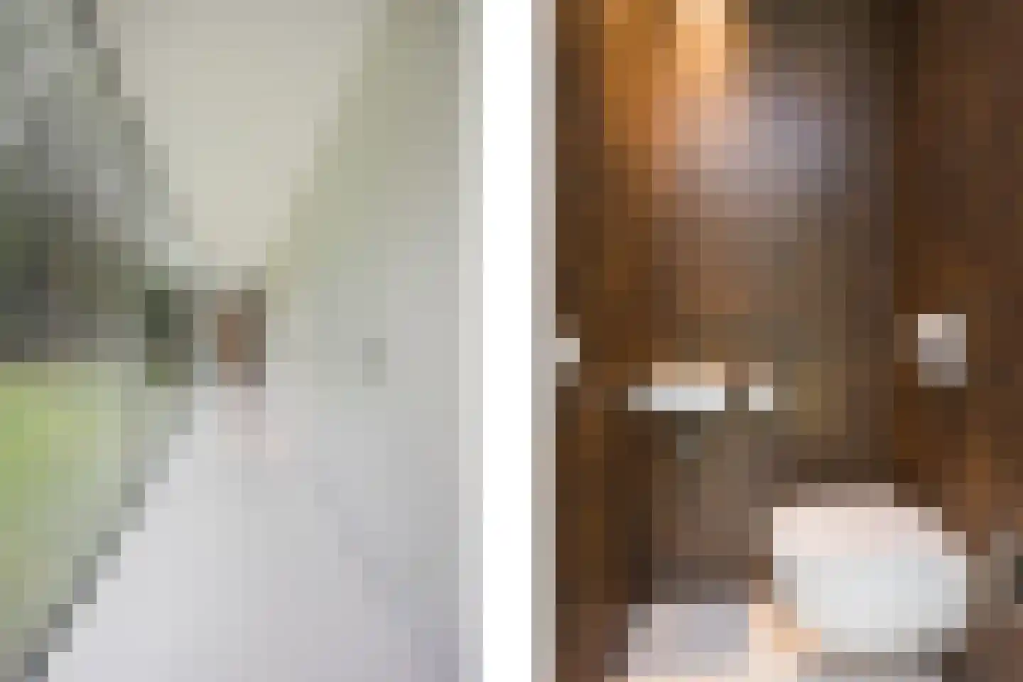 Vlasbeekweg 5 Hezingen thumbnail 29