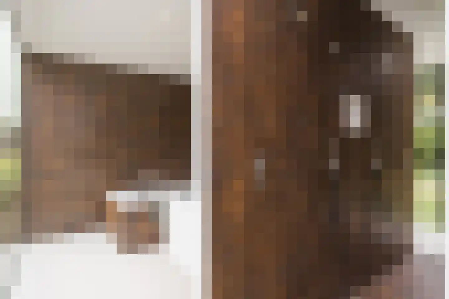 Vlasbeekweg 5 Hezingen thumbnail 37