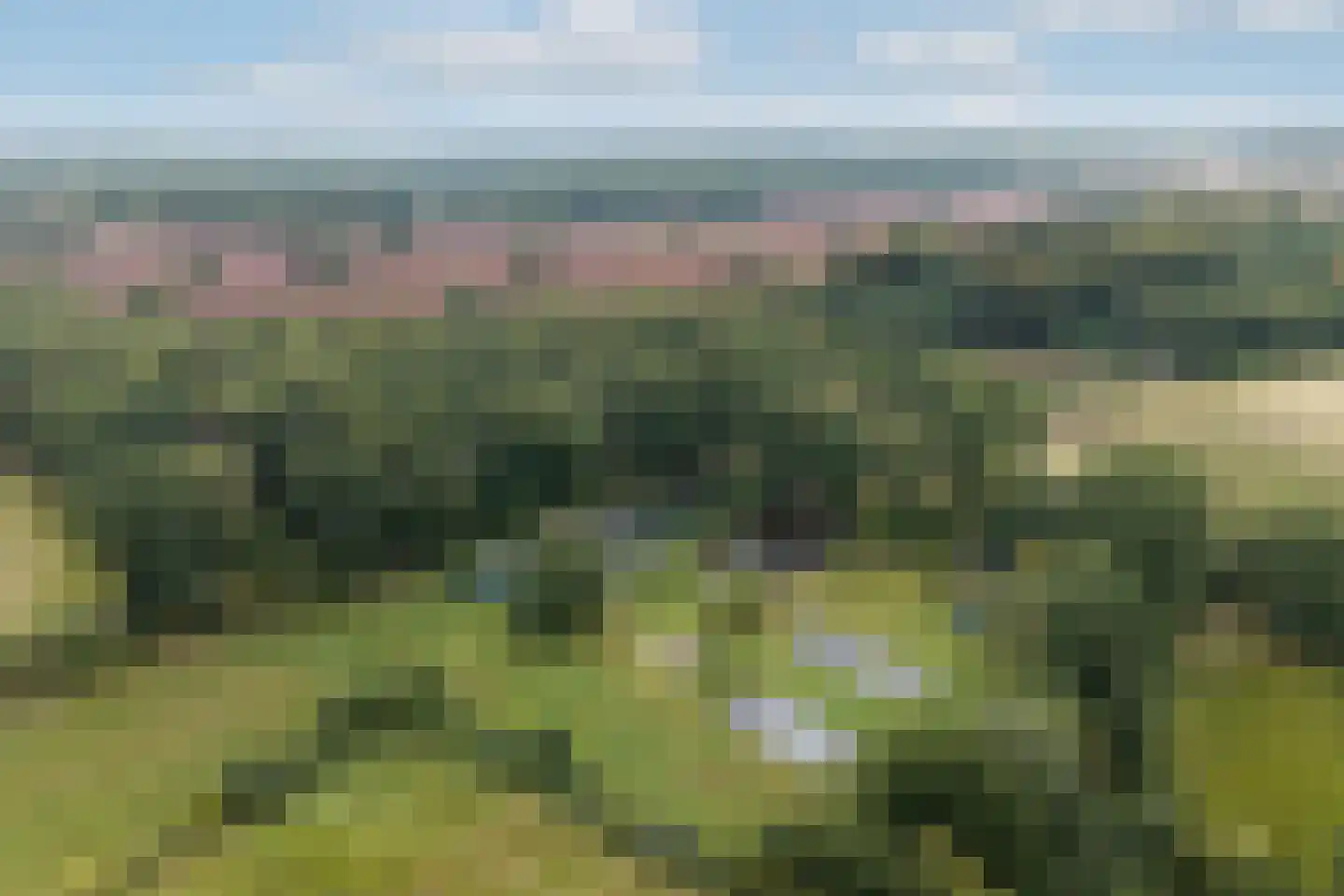 Vlasbeekweg 5 Hezingen thumbnail 4