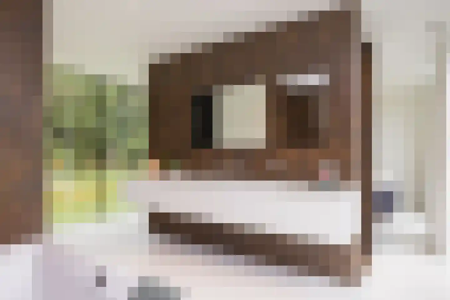 Vlasbeekweg 5 Hezingen thumbnail 41
