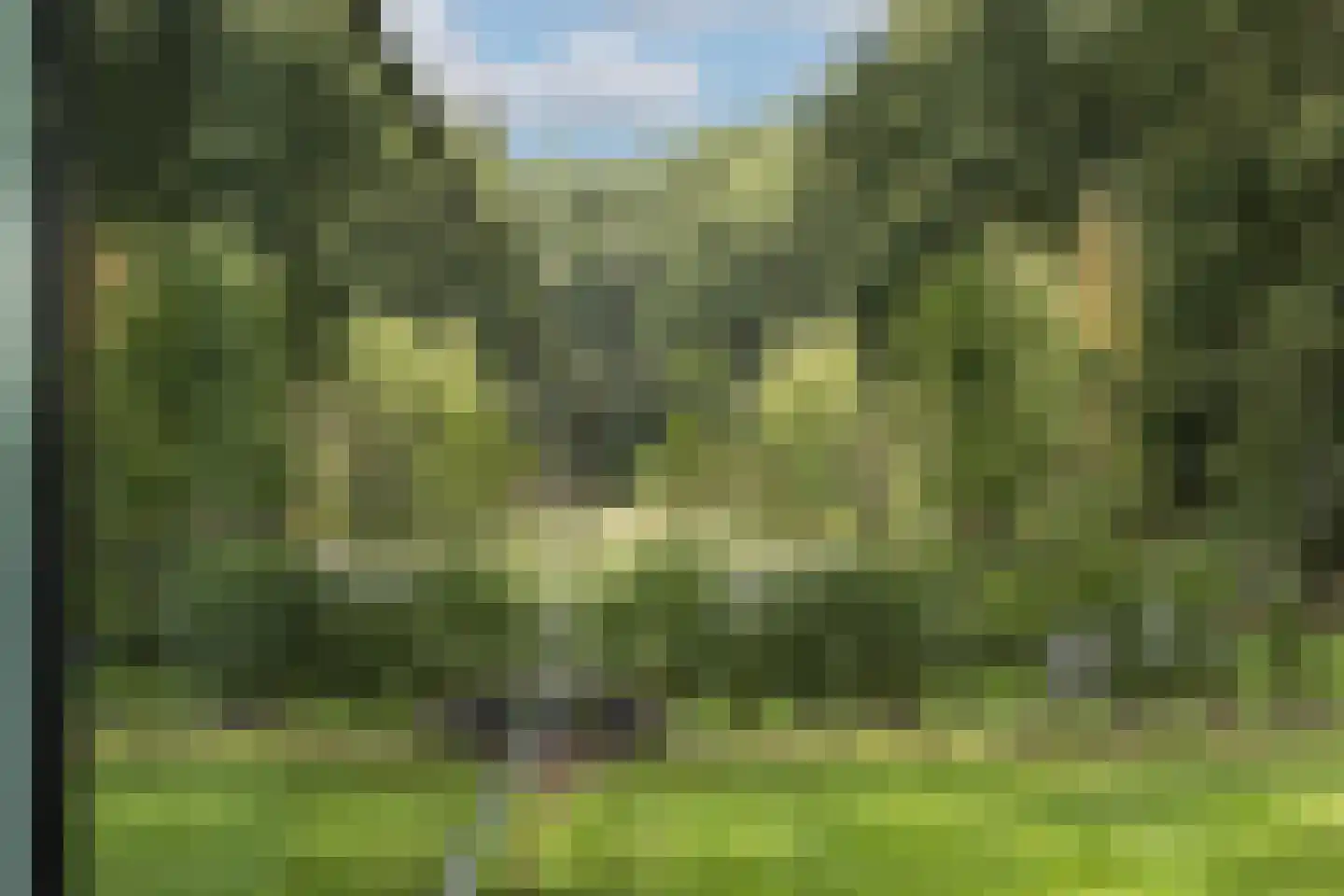 Vlasbeekweg 5 Hezingen thumbnail 51