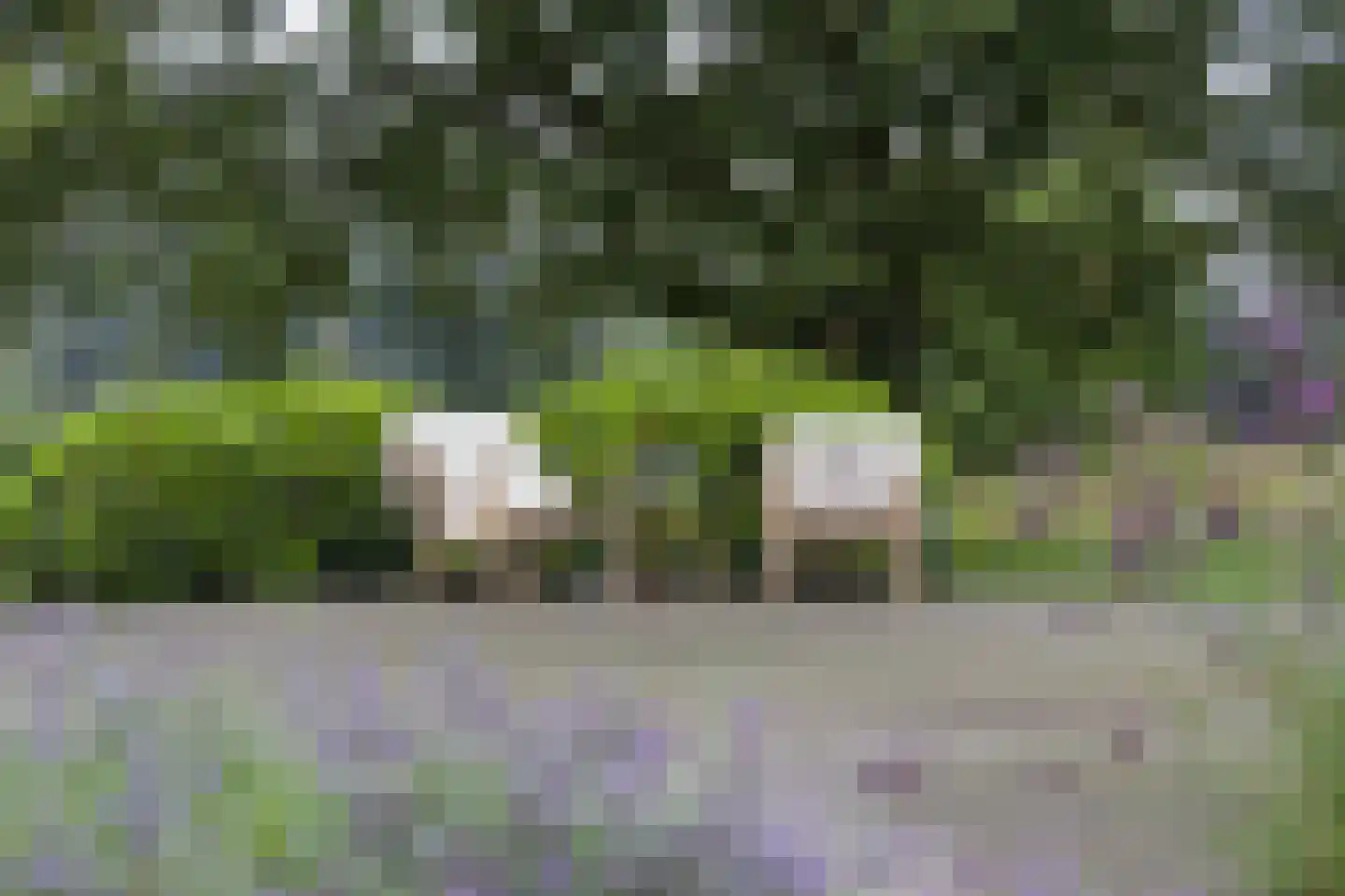 Vlasbeekweg 5 Hezingen thumbnail 53