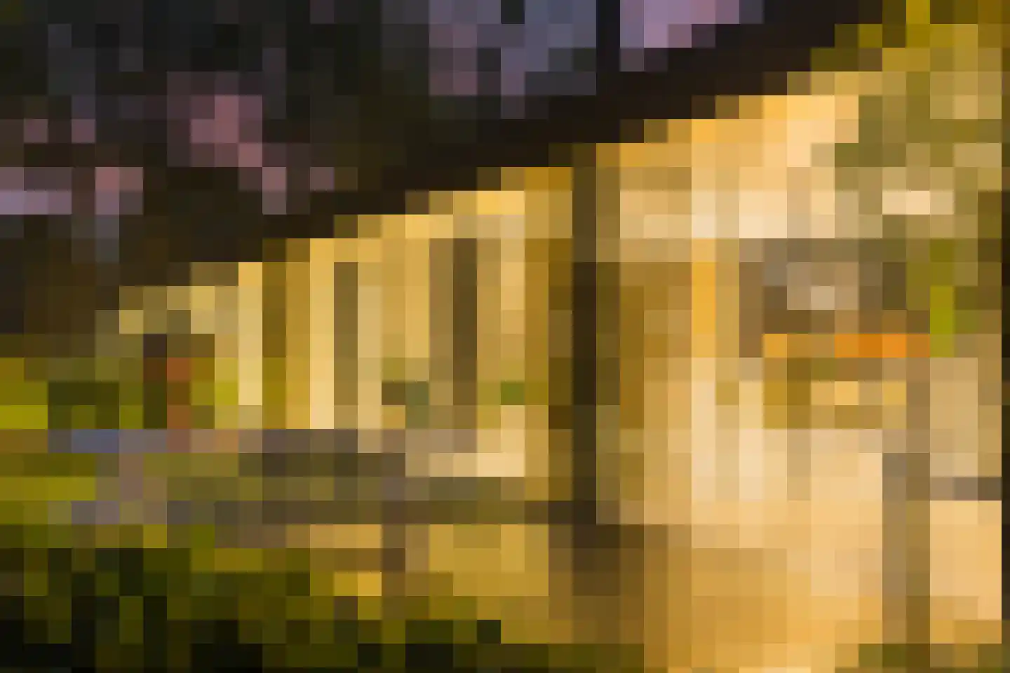 Vlasbeekweg 5 Hezingen thumbnail 64