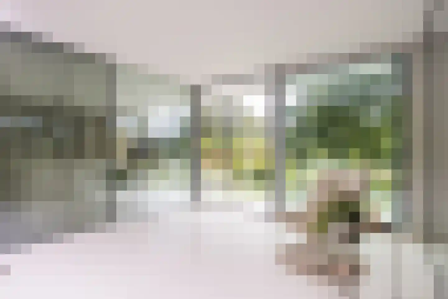 Vlasbeekweg 5 Hezingen thumbnail 66