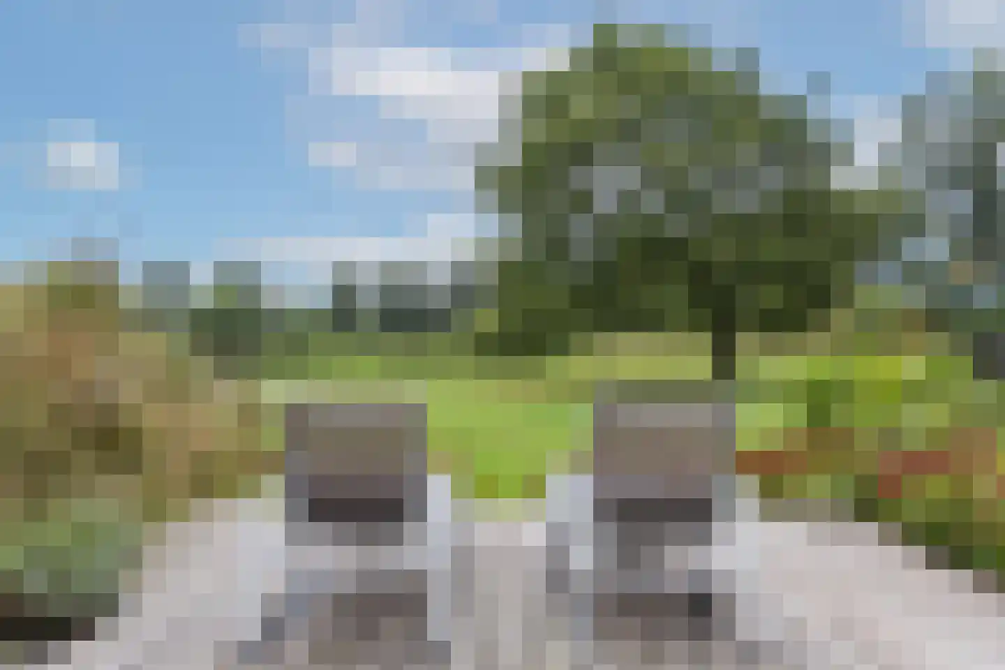 Vlasbeekweg 5 Hezingen thumbnail 74