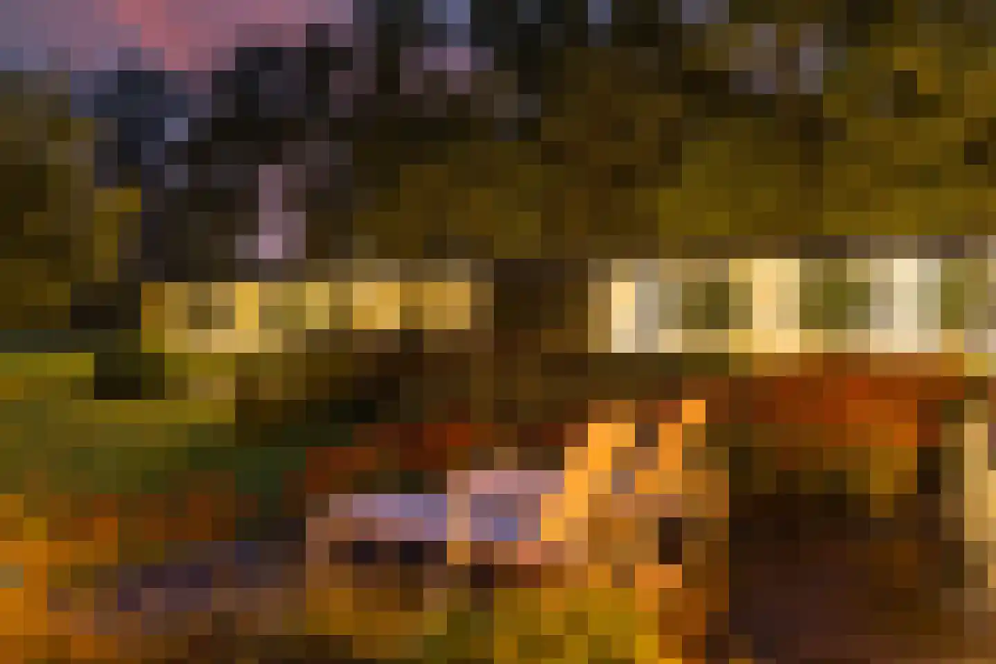 Vlasbeekweg 5 Hezingen thumbnail 75