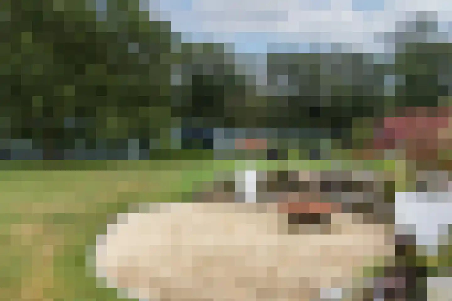 Vlasbeekweg 5 Hezingen thumbnail 76
