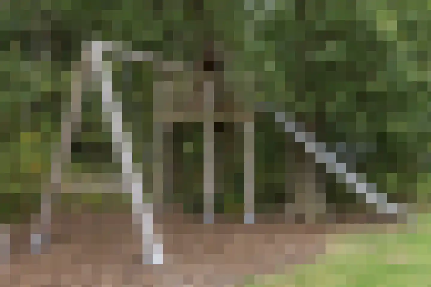 Vlasbeekweg 5 Hezingen thumbnail 78