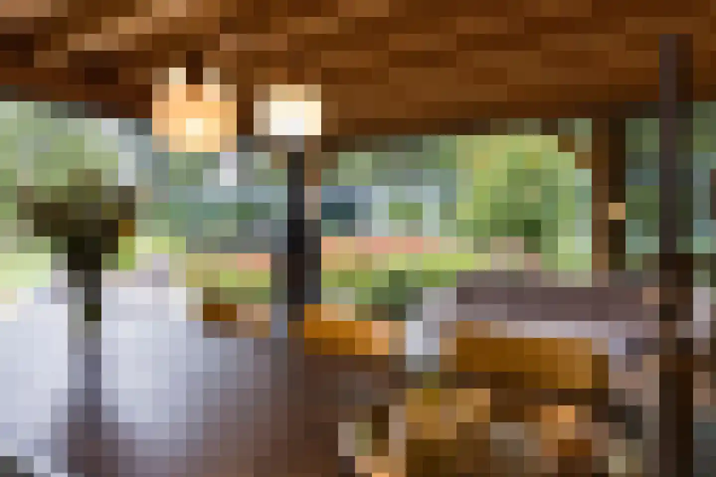 Vlasbeekweg 5 Hezingen thumbnail 81