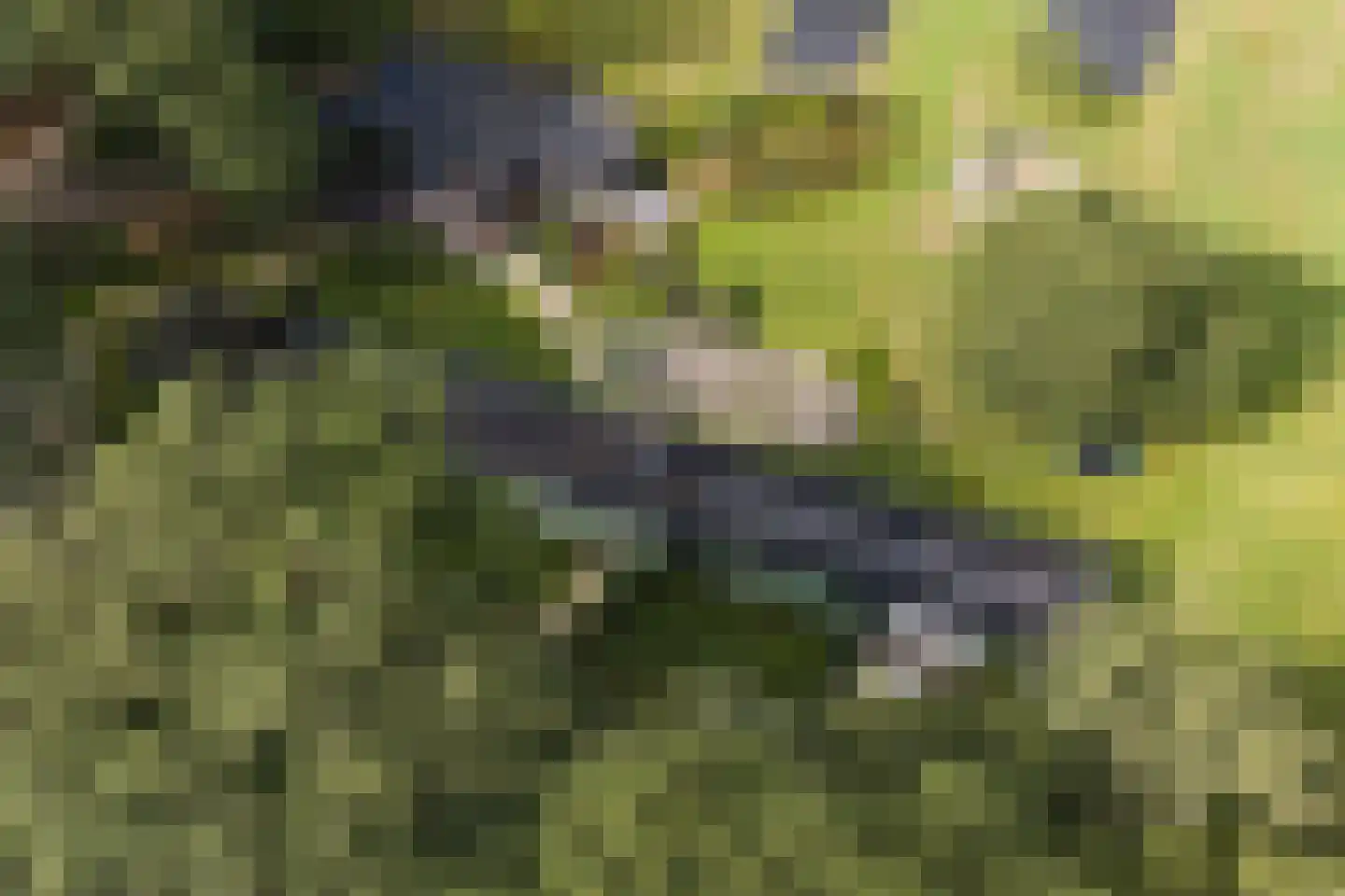 Vlasbeekweg 5 Hezingen thumbnail 84