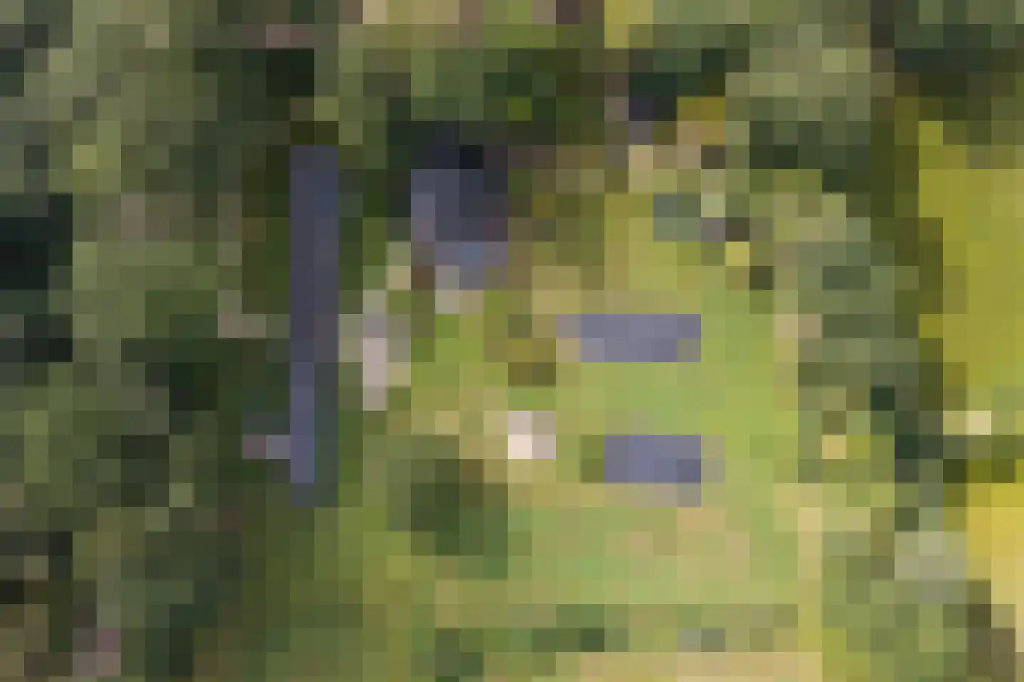 Vlasbeekweg 5 Hezingen thumbnail 85
