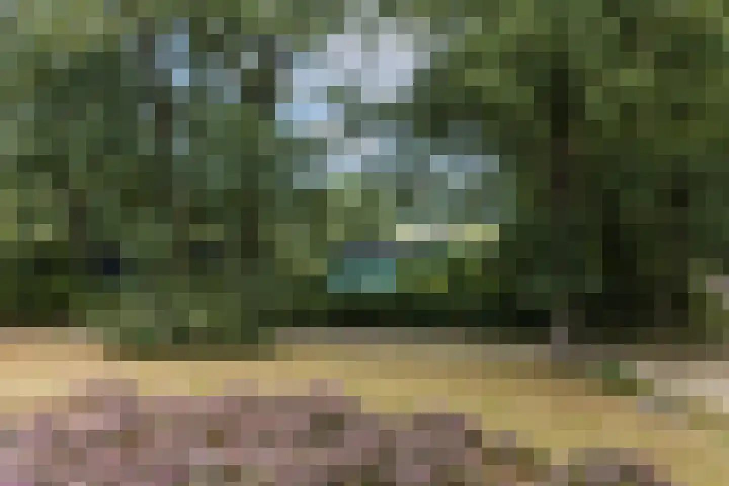 Vlasbeekweg 5 Hezingen thumbnail 86