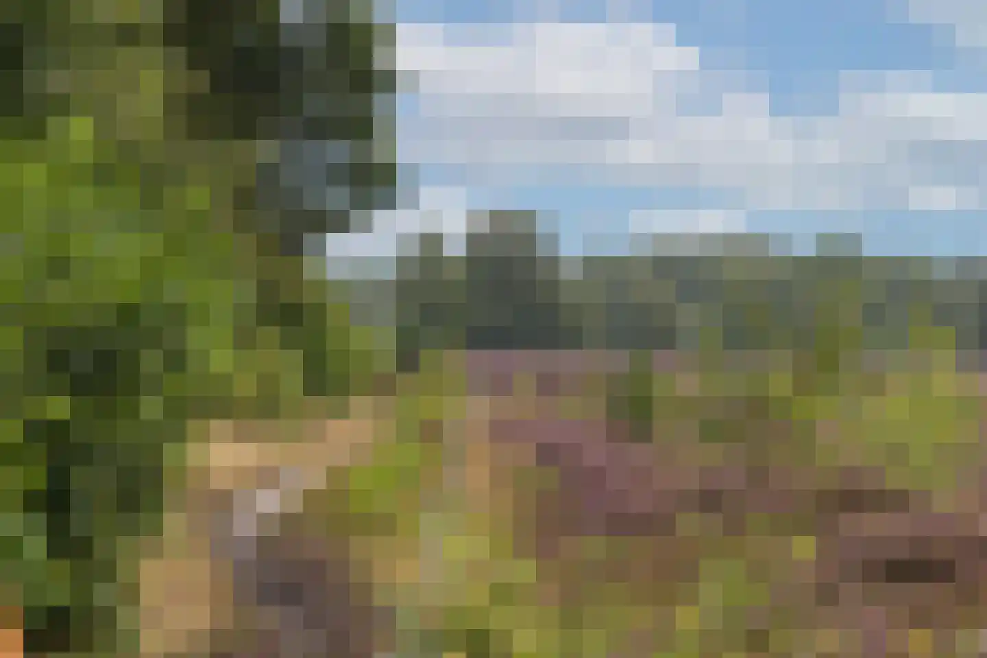 Vlasbeekweg 5 Hezingen thumbnail 88