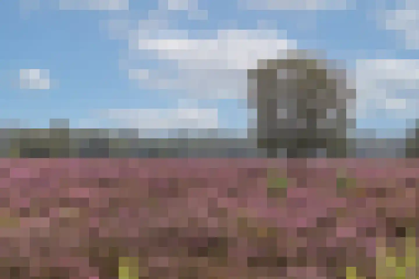 Vlasbeekweg 5 Hezingen thumbnail 89