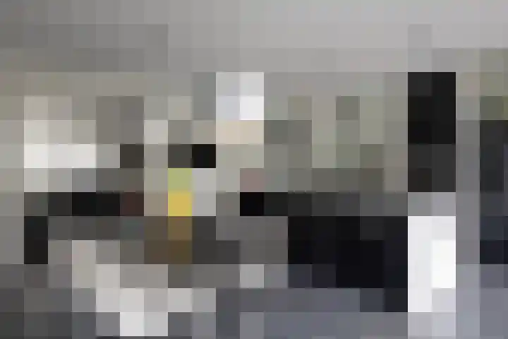 Vlasbekje 7 Voorthuizen thumbnail 10
