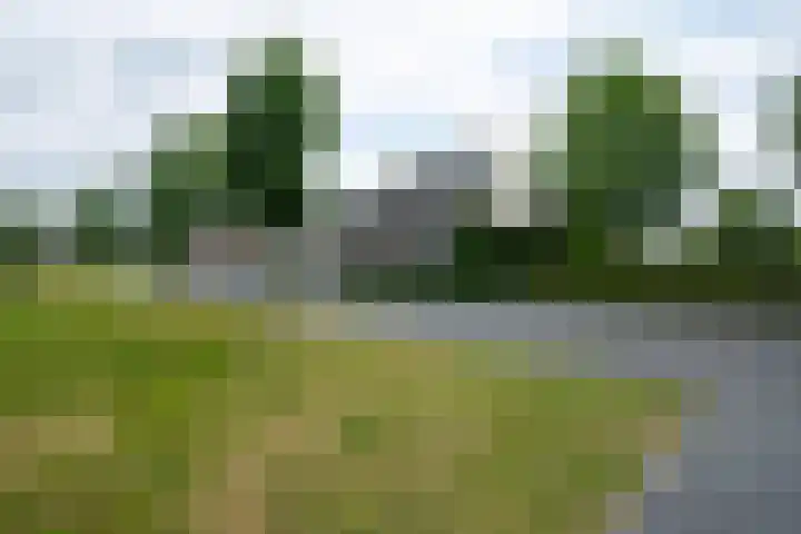 Vlasbekje 7 Voorthuizen foto 2