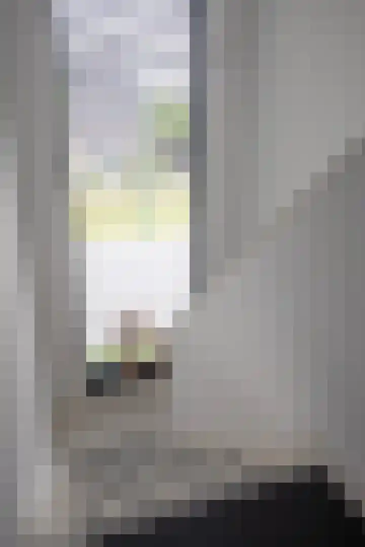 Vlasbekje 7 Voorthuizen thumbnail 22
