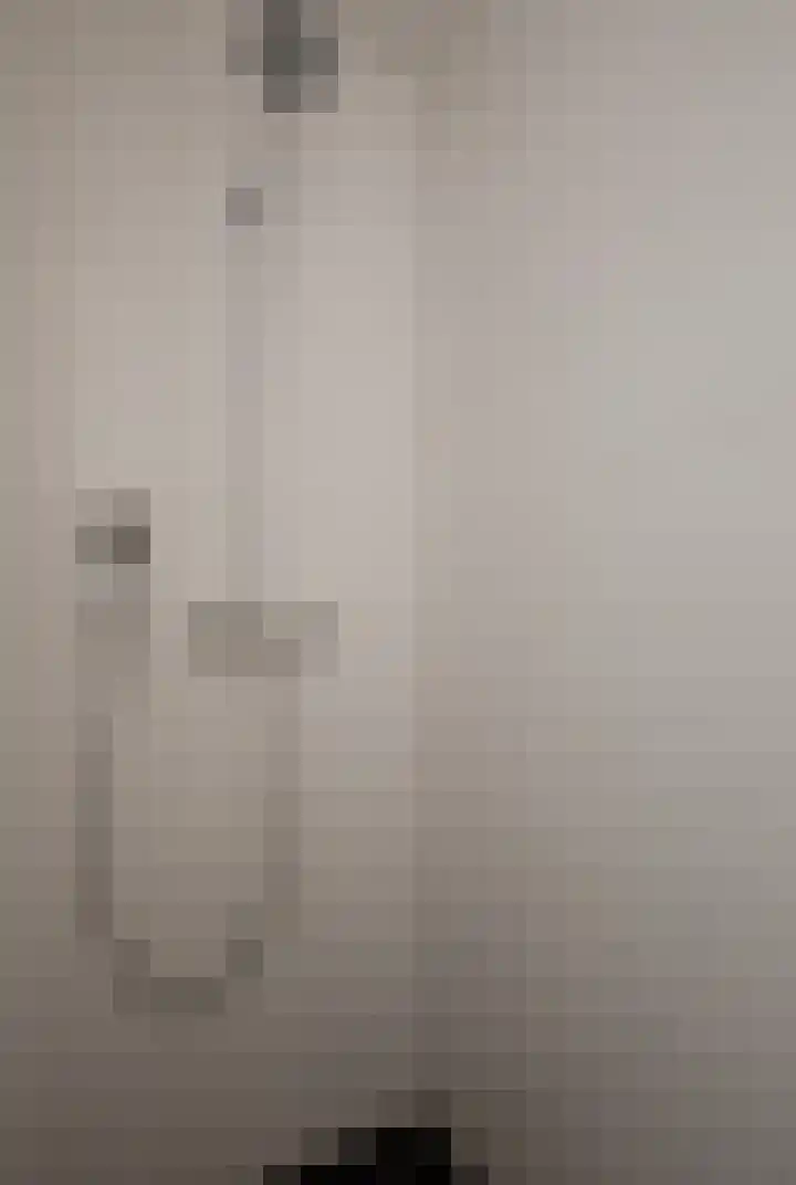 Vlasbekje 7 Voorthuizen thumbnail 26
