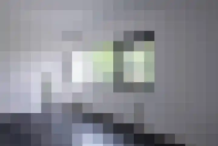 Vlasbekje 7 Voorthuizen thumbnail 28