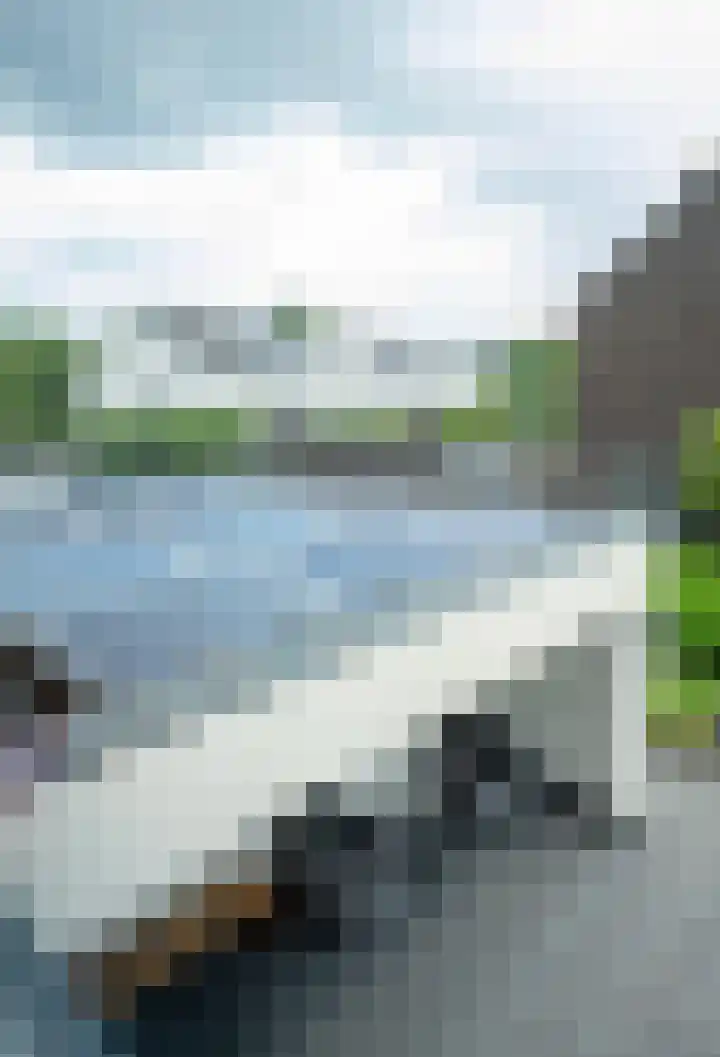 Vlasbekje 7 Voorthuizen thumbnail 36