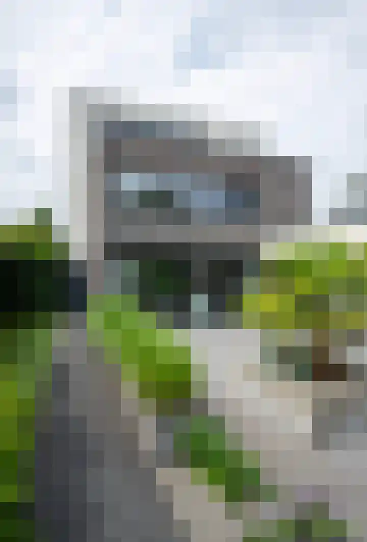 Vlasbekje 7 Voorthuizen thumbnail 37