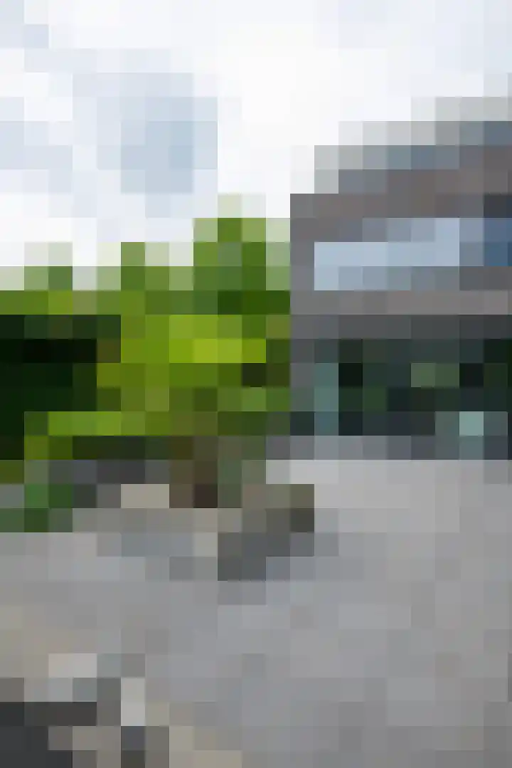 Vlasbekje 7 Voorthuizen thumbnail 38