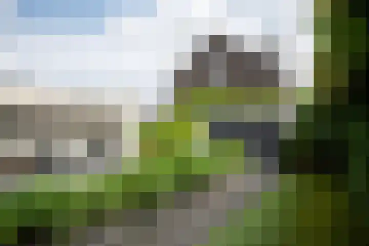 Vlasbekje 7 Voorthuizen thumbnail 41