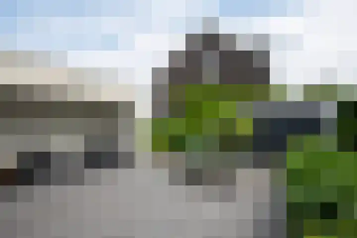 Vlasbekje 7 Voorthuizen thumbnail 42