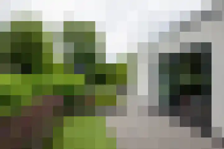 Vlasbekje 7 Voorthuizen thumbnail 44