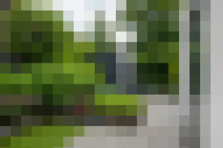 Vlasbekje 7 Voorthuizen thumbnail 45