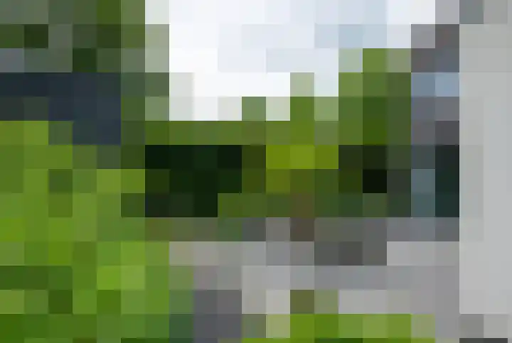 Vlasbekje 7 Voorthuizen thumbnail 46