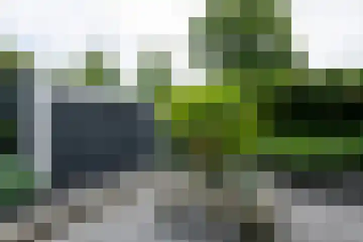 Vlasbekje 7 Voorthuizen thumbnail 48